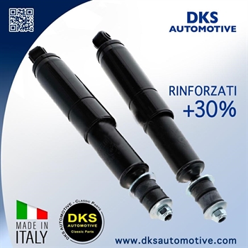 AMMORTIZZATORI POSTERIORI RINFORZATI SPECIALI RENAULT 4,R5,R6(2)